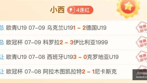 篮球实战攻略，2026年足球世界杯，一击即中超强信心秘籍
