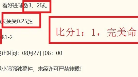 宝马纯电3首曝米兰体育app：终极设计，全新电动时代来袭